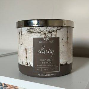 Wild Mint and Birch Goose Creek Candle